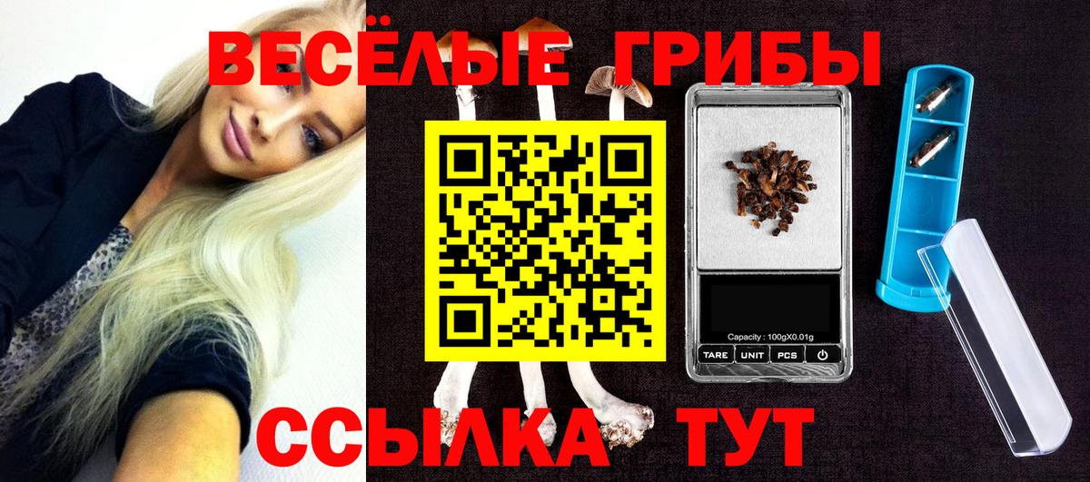 Галлюциногенные грибы мицелий Морозовск