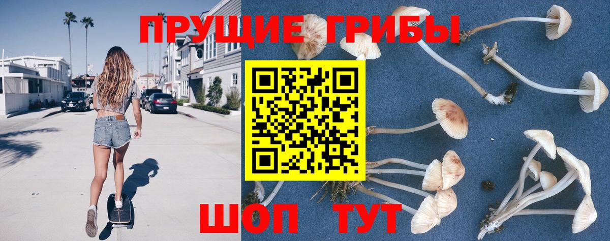 Галлюциногенные грибы Psilocybe  наркошоп  Морозовск  Вход с VPN 