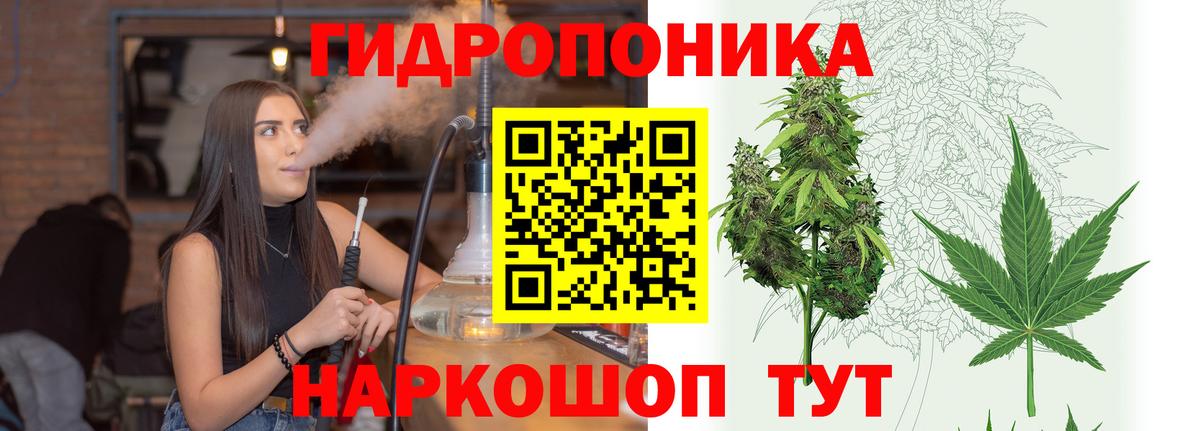 Конопля MAZAR  Вход с VPN  МАРИХУАНА сатива  Морозовск 